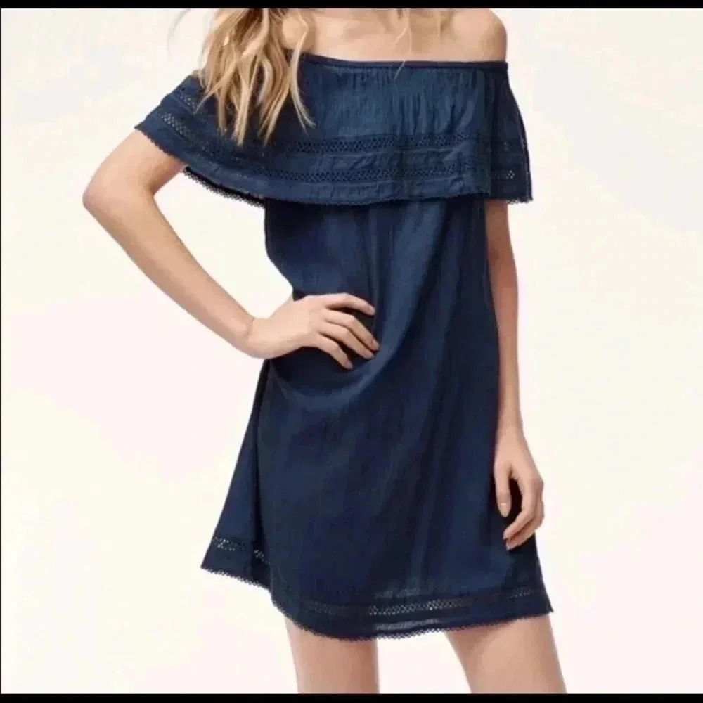 Aritzia - Wilfred Dress